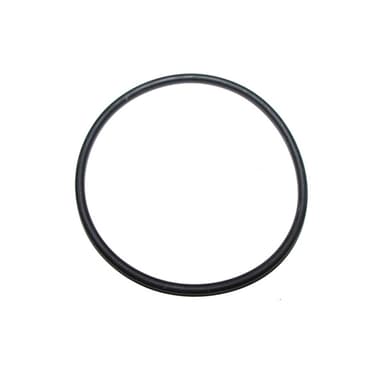 JUNTA (ORING) GRANDE BOMBA AGUA MWM S10/SPRINT  03