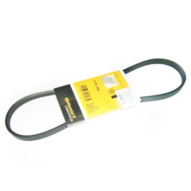 CORREA 4PK-800-CONTINENTAL- TODOS