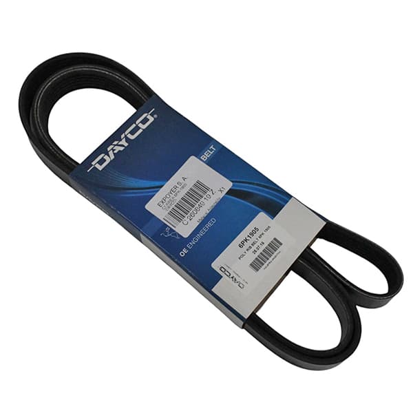 Correa 6pk-1905 -dayco-