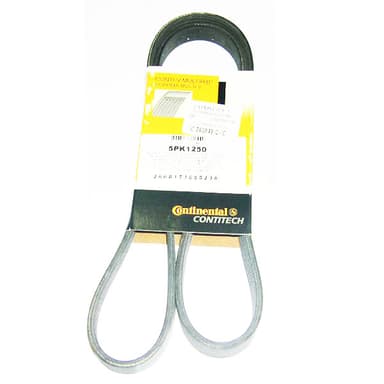 CORREA 5PK-1250             -CONTINENTAL-