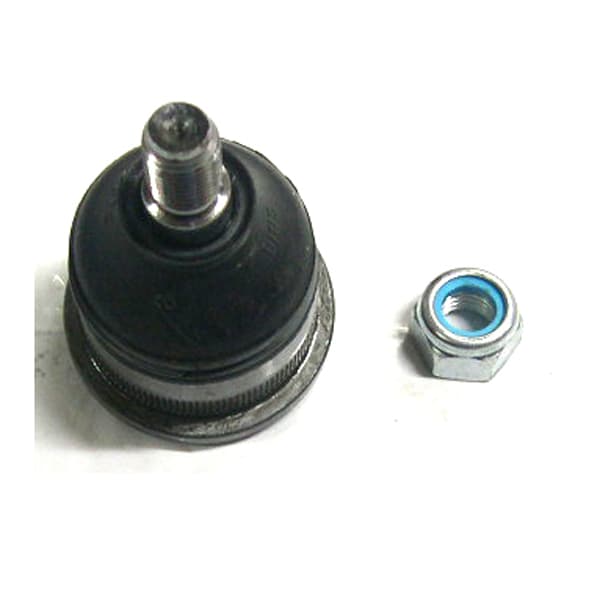 Rotula susp. inferior nakata 3004 chevette