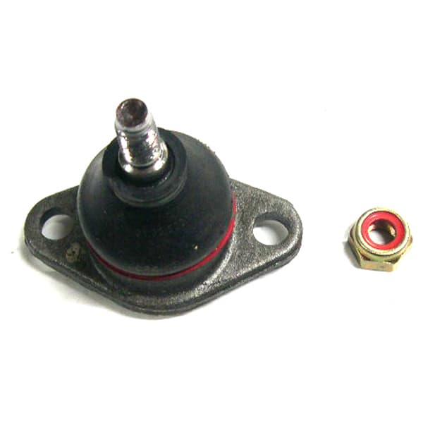 Rotula susp. superior nakata 3005 chevette