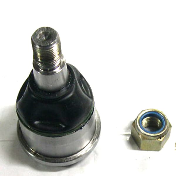 Rotula susp. inferior nakata 319 c-10 63/78