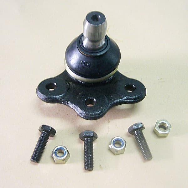 Rotula susp. fabila 370 vect97/ast/zafira
