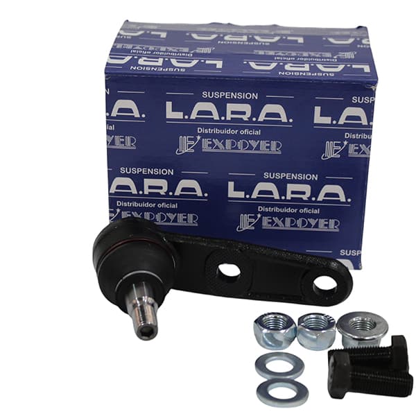 Rotula susp. lara ch-205k aveo