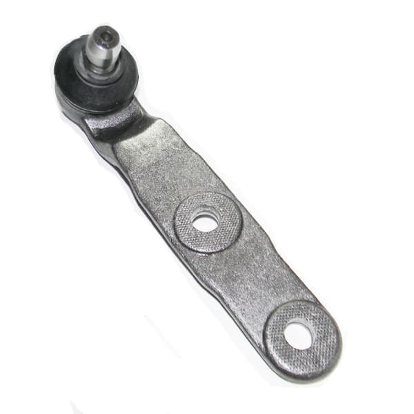Rotula susp. nakata 93019 agile