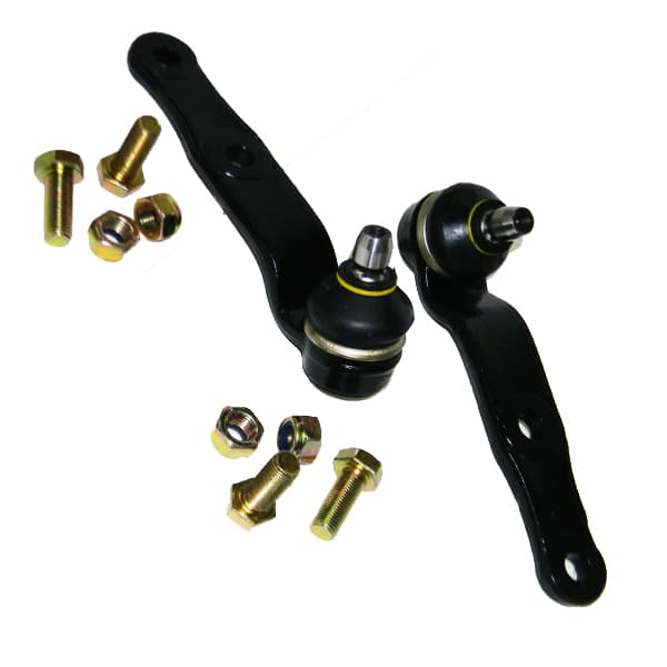 Rotula susp. fabila 420 agile