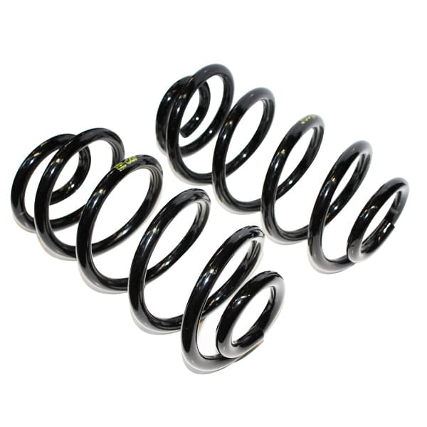 Juego resortes susp tras 590g car gnc spin 2013/ 1