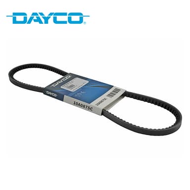 CORREA AV10-875 DAYCO                TODOS