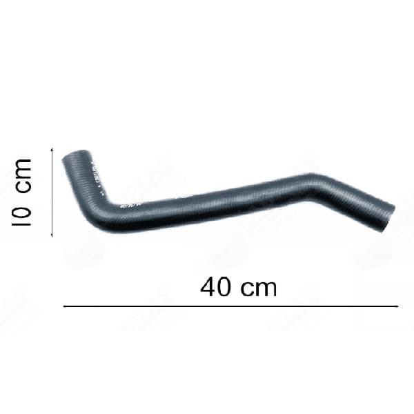 Caño goma radiador inferior caup.7556 1.7td palio