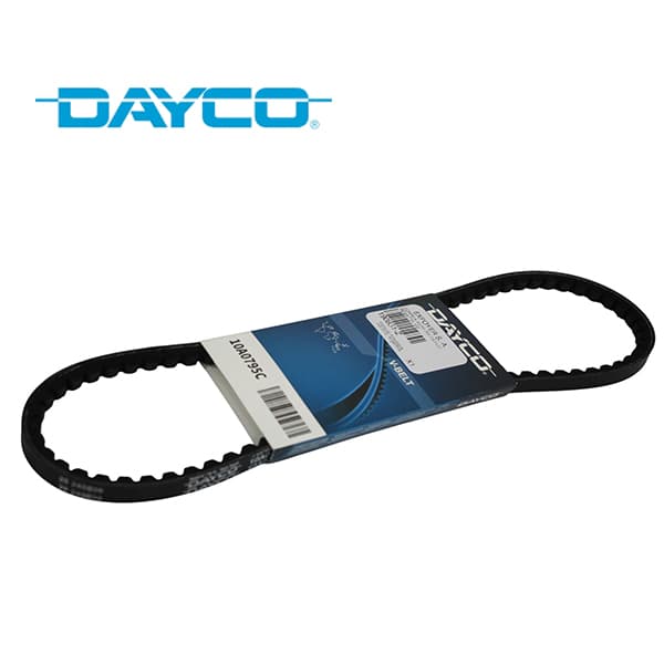 Correa av10-795 dayco regatta 100