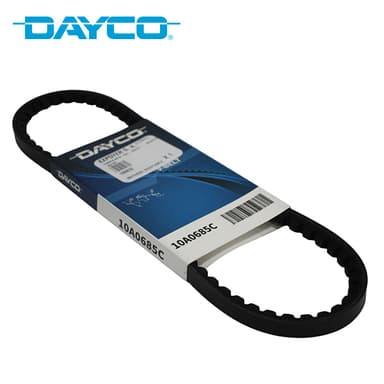 CORREA AV10-685 -DAYCO-     REGATTA 85/100