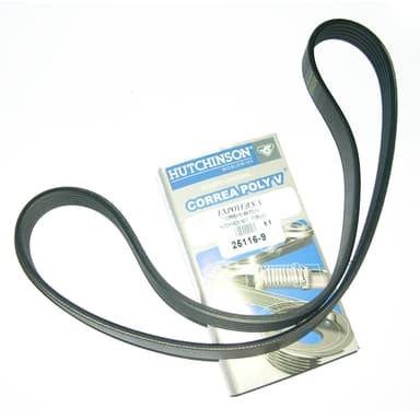 CORREA 5PK-884 POLYV HUTCHINSON M/1.7  FIORUNO