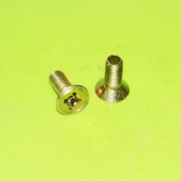 Tornillo (176) bisagra puerta todos