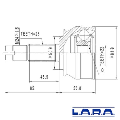 KIT HOMOCINETICA LARA           TEMPRA/MAREA W/END