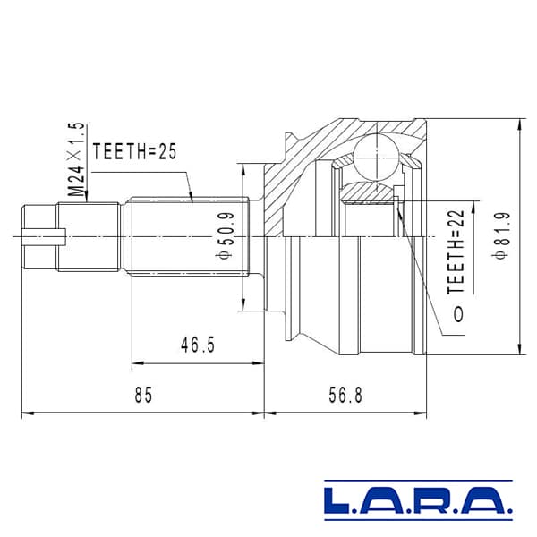 Kit homocinetica lara tempra/marea w/end
