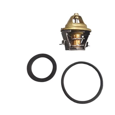 TERMOSTATO MLH TH7102.82J   C/ORING RANGER 2.3/2.5