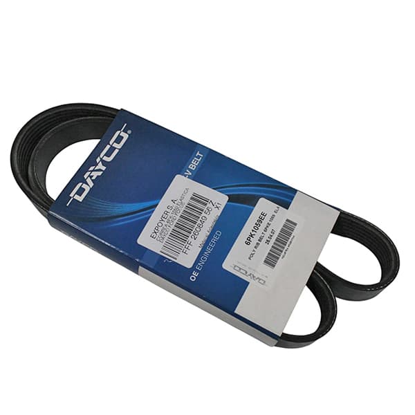 Correa 6pk-1059 elastica dayco ford focus