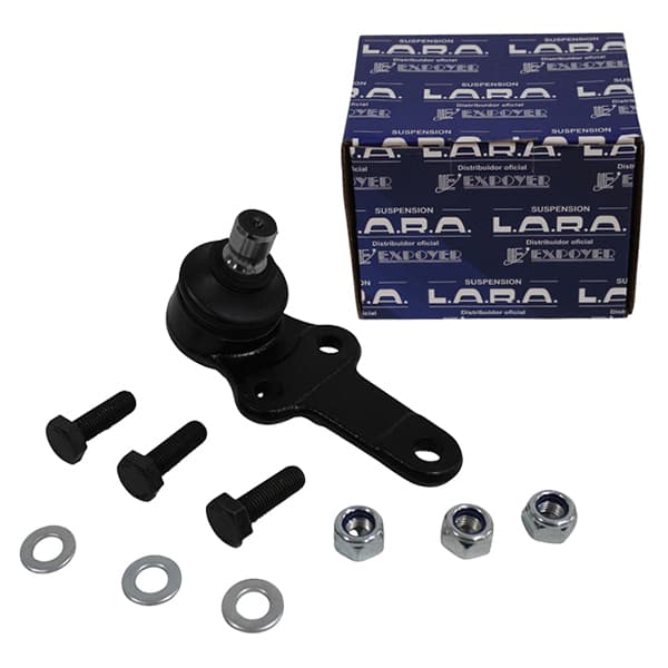 Rotula susp. lara fo-464k focus 08/