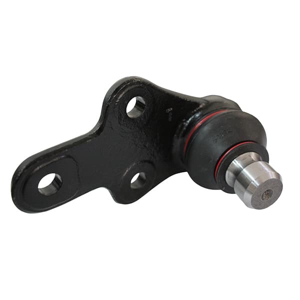 Rotula susp. izq trw jbj1259 focus 13/...