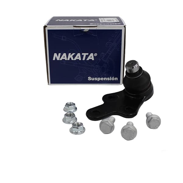 Rotula susp. der nakata 11036 focus 13/...