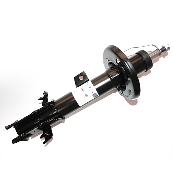 Amortiguador del der sachs 315880 ecosp.kinetic 12