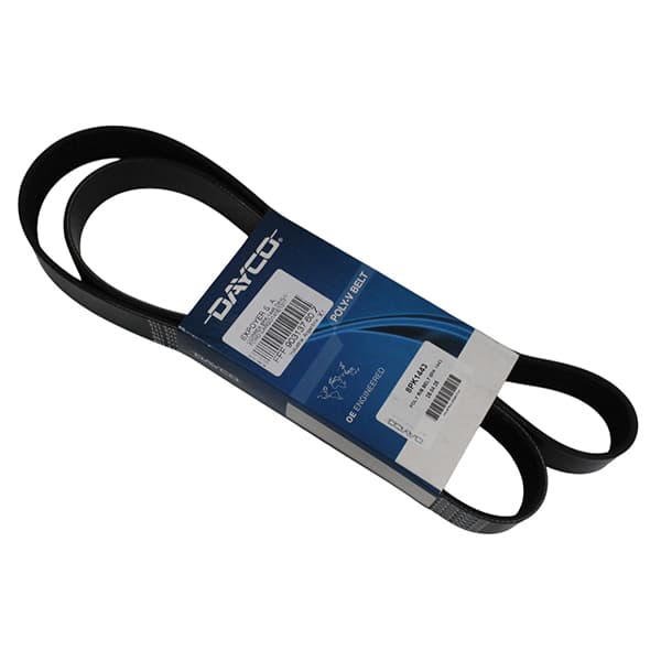 Correa 8pk-1443 dayco ford cargo1416/1317