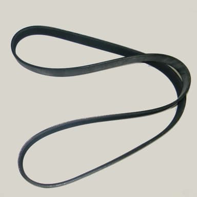 CORREA 8PK-1560 CONTINENTAL FORD 14000  99/