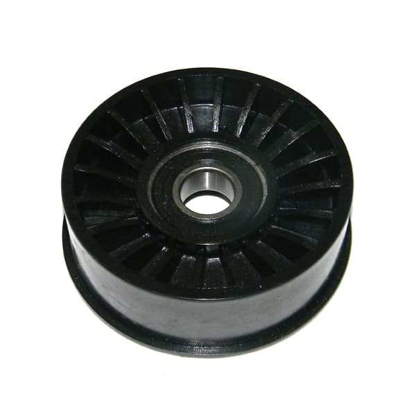 Polea tensor poly v f-100 95/98 4.9 i