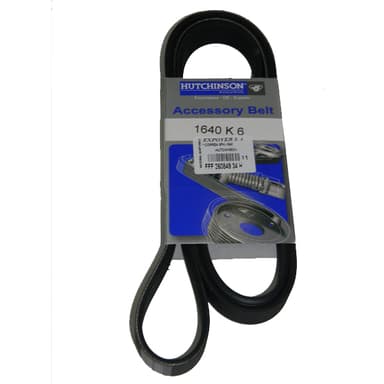 CORREA 6PK-1640                  -HUTCHINSON-