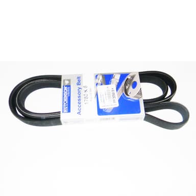 CORREA 6PK-1760                  -HUTCHINSON-