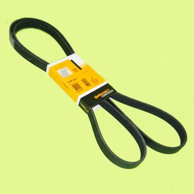 CORREA 6PK-2077 CONTITECH