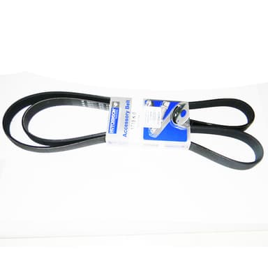 CORREA 6PK-1718              -HUTCHINSON-