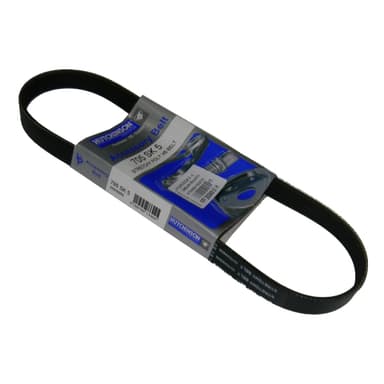 CORREA 5SK-705 ELASTICA HUTCHINSON  FOCUS II 2.0