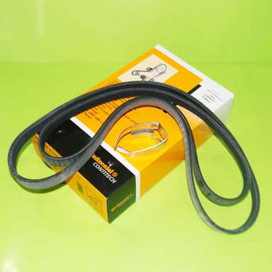 KIT CORREAS 6PK-1059/5PK-868 ELAST. FOCUS SIGM.1.6