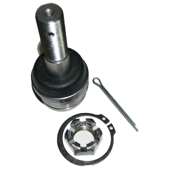 Rotula susp. inferior f-4000 99/