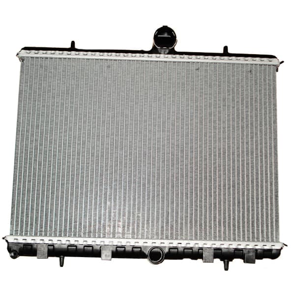 Radiador original expert