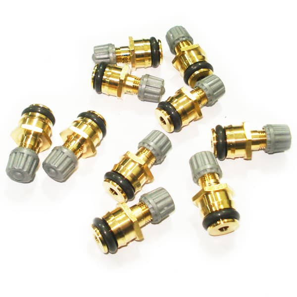 Tapon valvula rampa inyector original -ew10a- 206