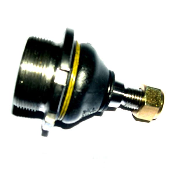 Rotula susp. sellada peug 504-505