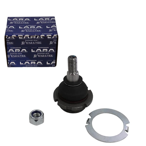 Rotula susp. lara 9078- peug 504-505