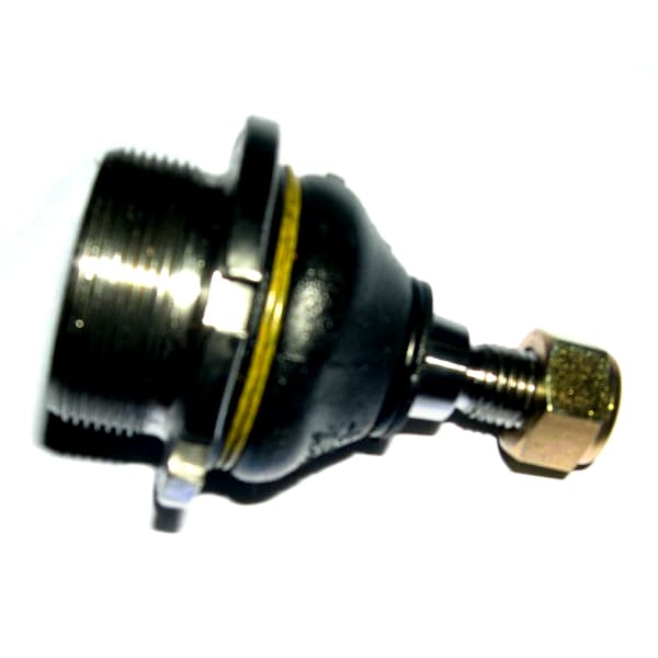 Rotula susp. nakata 9078 peug 504-505