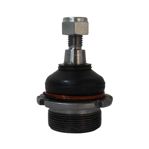 Rotula susp. thompson ps-0835 peug 504-505