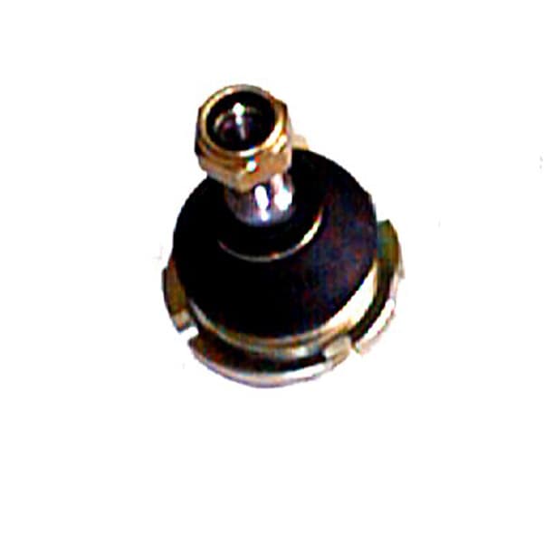 Rotula susp. fabila 38 peug 504-505