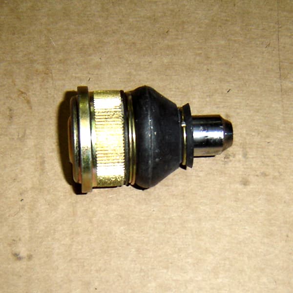 Rotula susp. nakata 9168 peug106