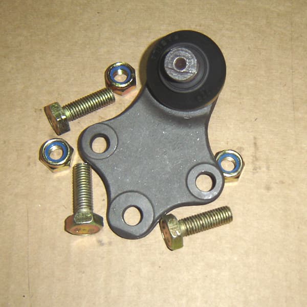 Rotula susp. fabila 175 peug 306 ø16mm