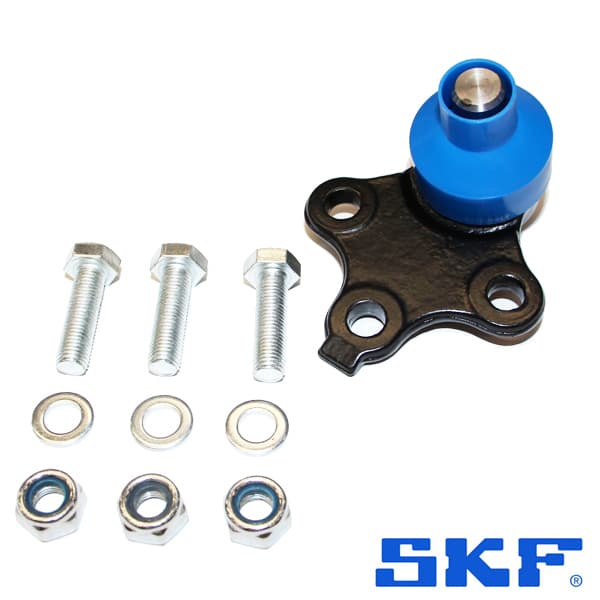 Rotula susp. vkds 6297 a partner