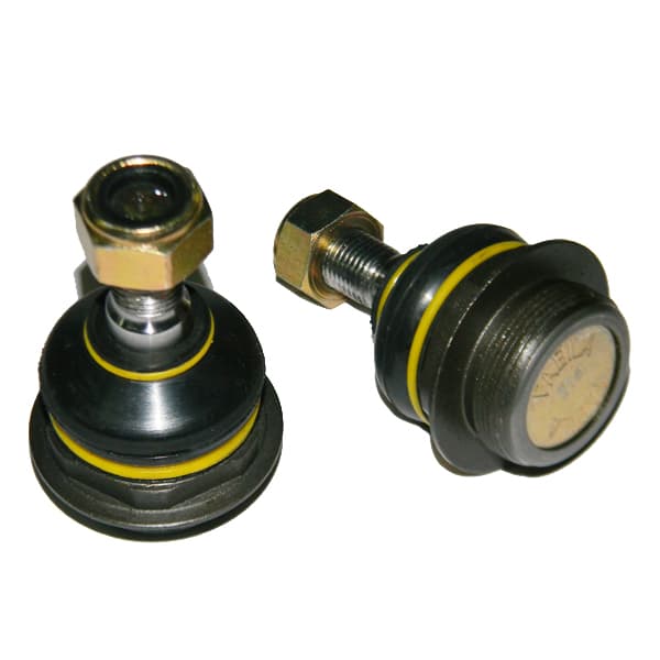 Rotula susp. fabila 375 peug 307
