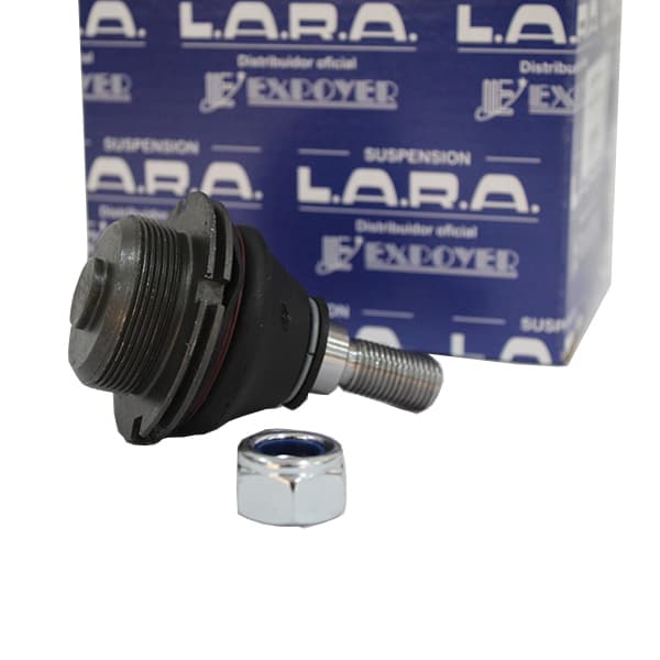 Rotula susp. lara p-465 peug 407