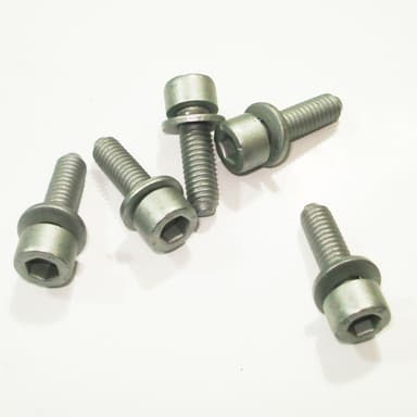 TORNILLO RAMPA INYECTOR ORIGINAL -EW10A- 206-207