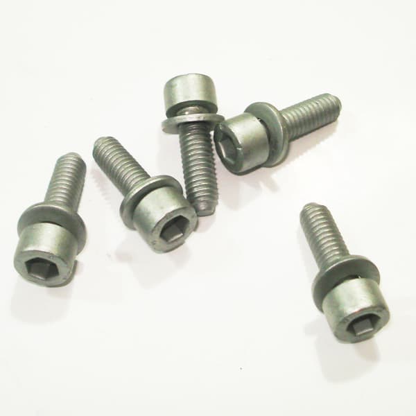 Tornillo rampa inyector original -ew10a- 206-207